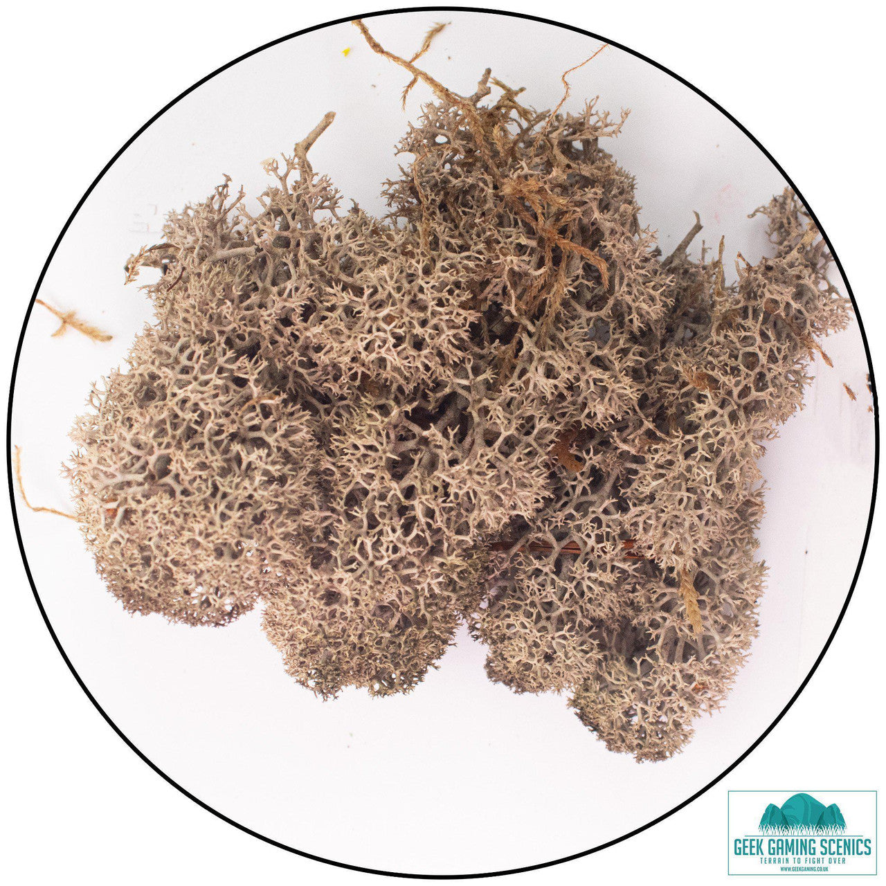 Geek Gaming: Lichen - Reindeer Moss (Icelandic Moss) - Brown