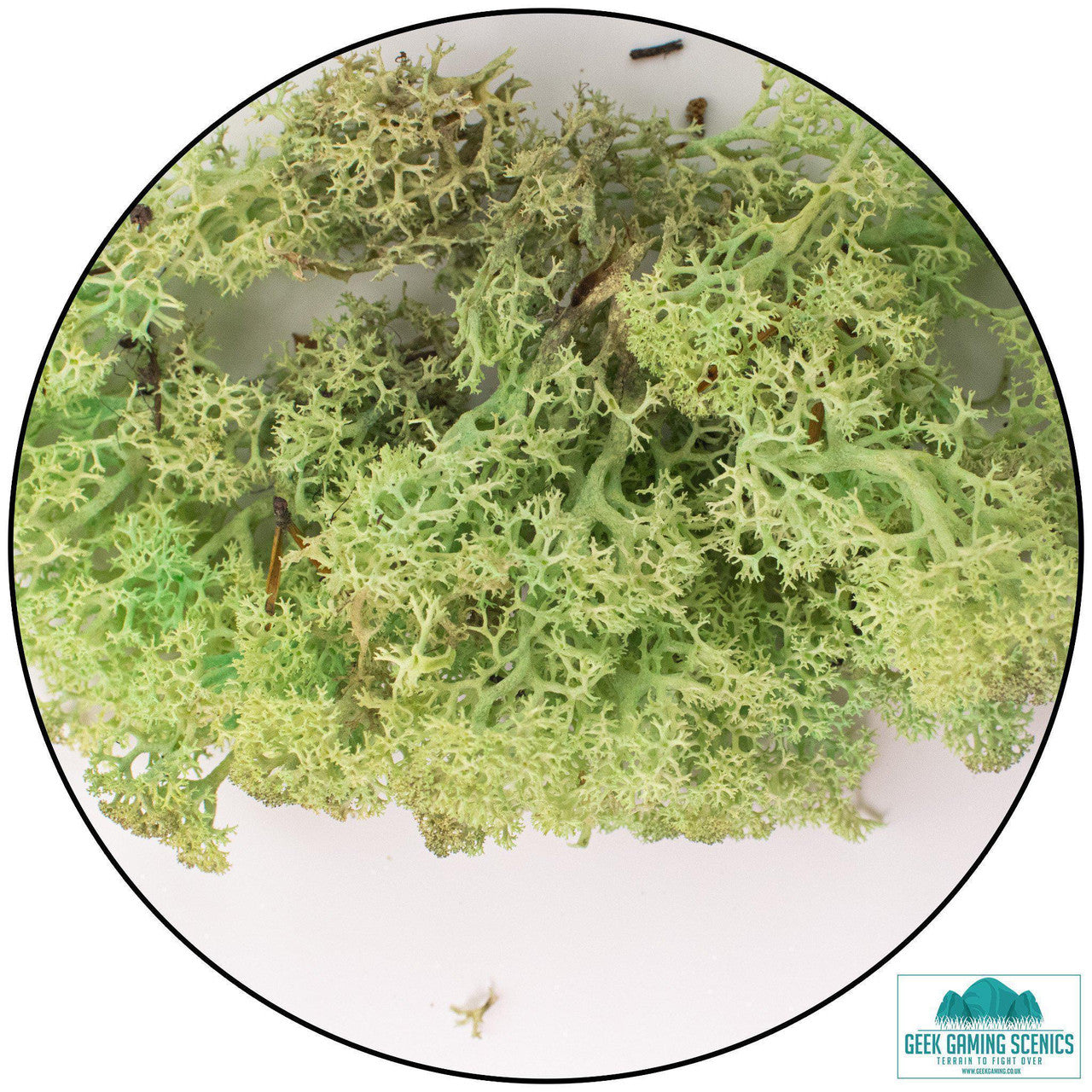 Geek Gaming: Lichen - Reindeer Moss (Icelandic Moss) - Mint Green