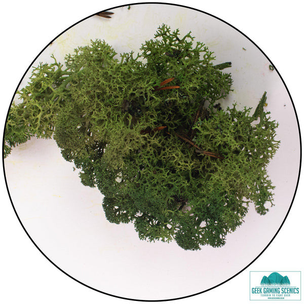 Geek Gaming: Lichen - Reindeer Moss (Icelandic Moss) - Moss Green