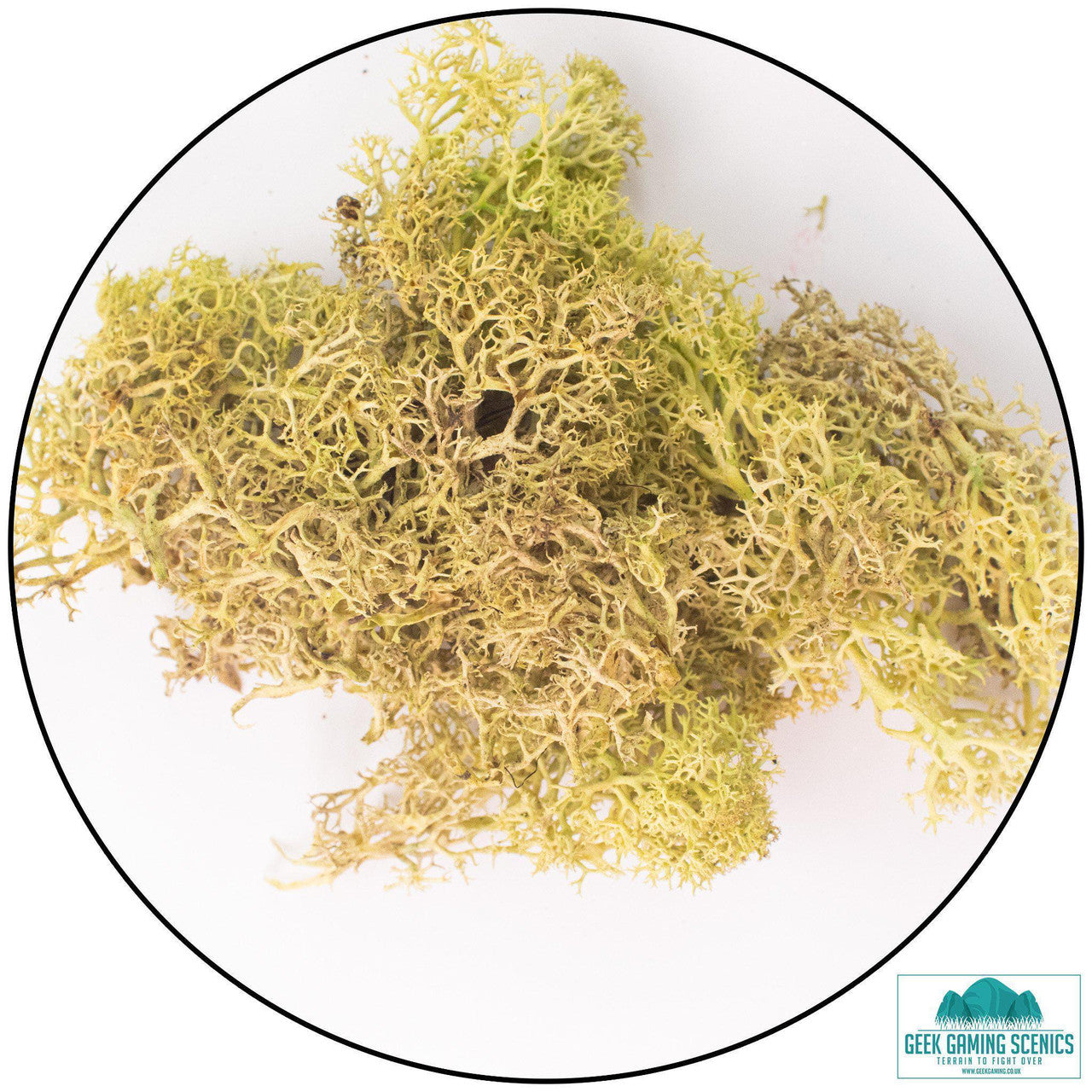 Geek Gaming: Lichen - Reindeer Moss (Icelandic Moss) - Old Green