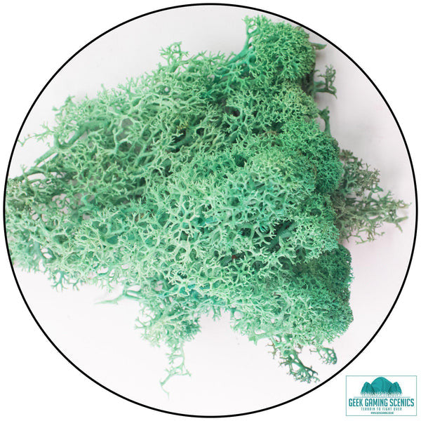 Geek Gaming: Lichen - Reindeer Moss (Icelandic Moss) - Pacific Green