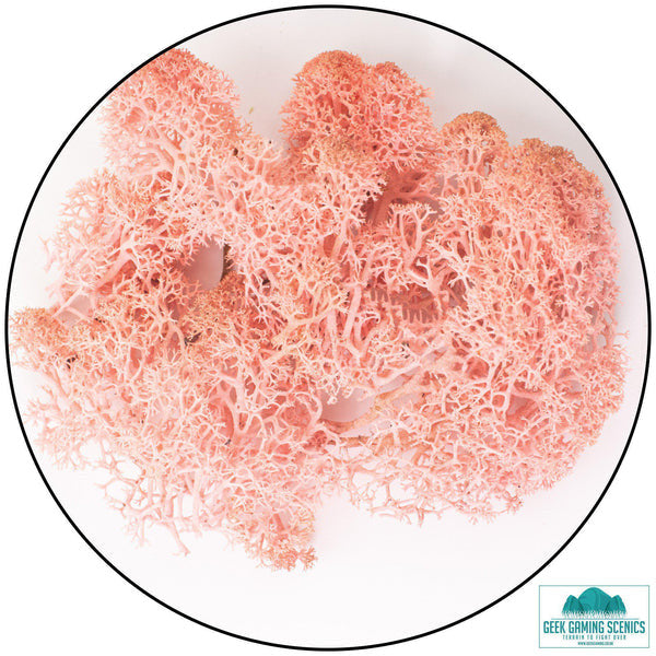 Geek Gaming: Lichen - Reindeer Moss (Icelandic Moss) - Rose
