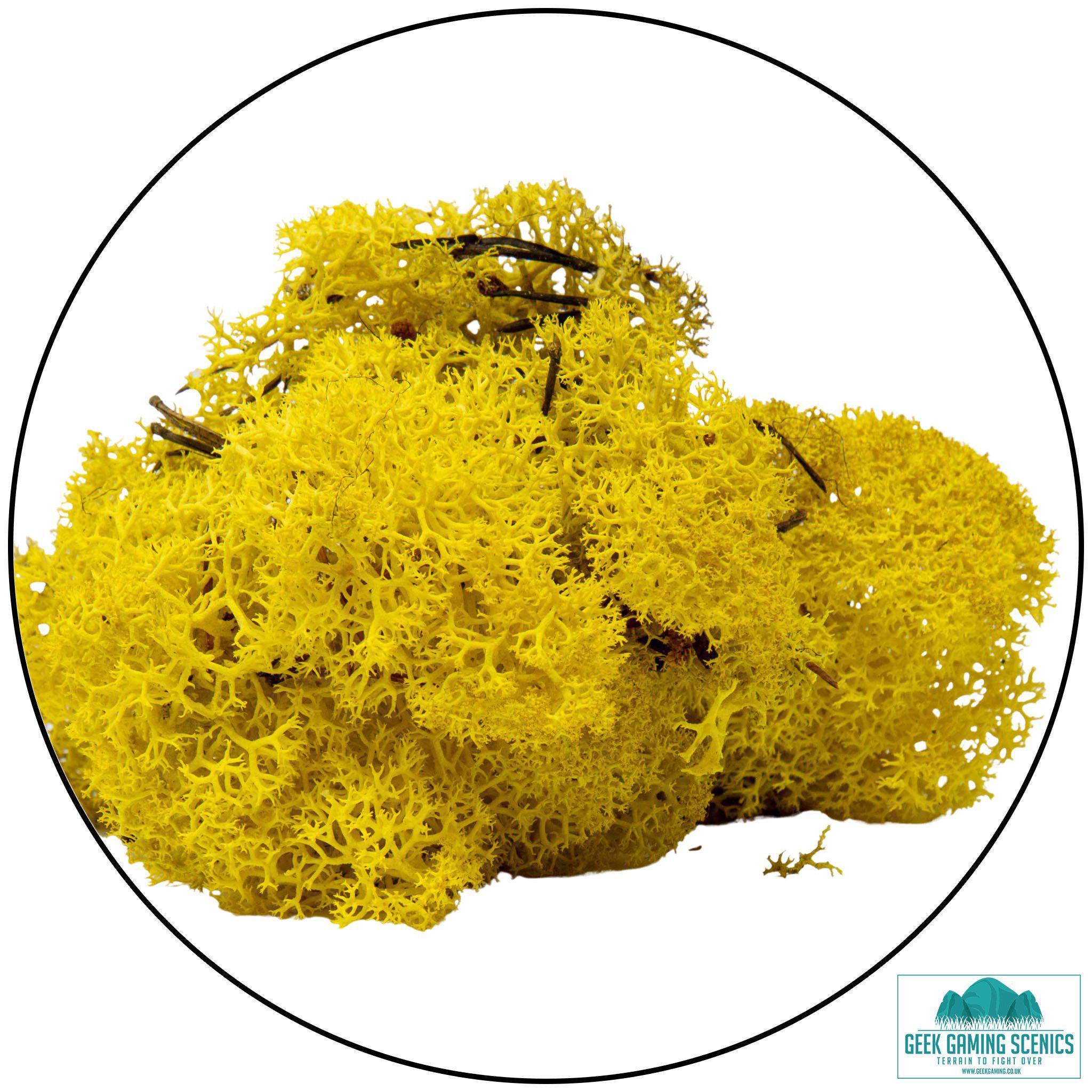 Lichen - Reindeer Moss (Icelandic Moss) Lemon Yellow - Geek Gaming Scenics