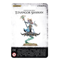 Thumbnail for Disciples of Tzeentch: Tzaangor Shaman
