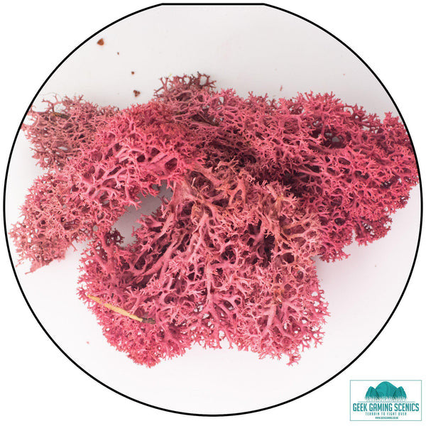 Geek Gaming: Lichen - Reindeer Moss (Icelandic Moss) - Burgundy