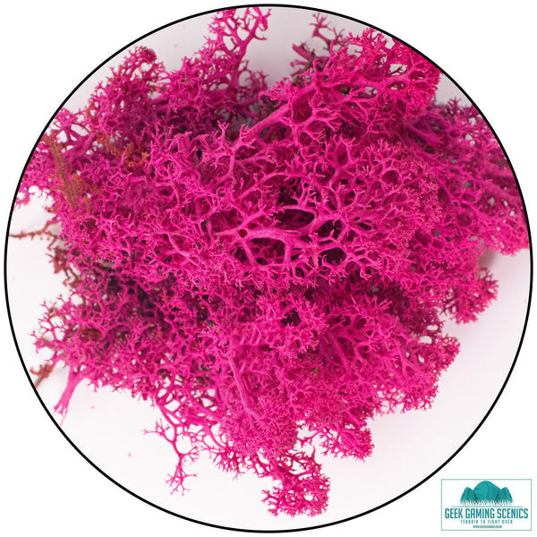 Geek Gaming: Lichen - Reindeer Moss (Icelandic Moss) - Cherry Blossom