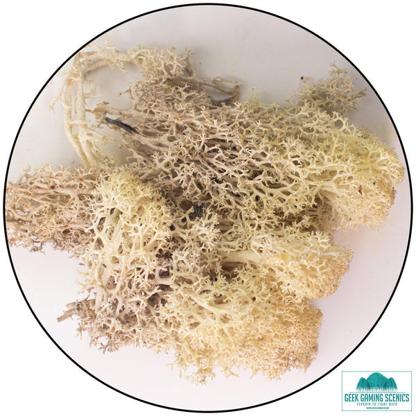 Geek Gaming: Lichen - Reindeer Moss (Icelandic Moss) - Misty White