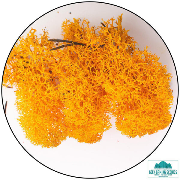 Geek Gaming: Lichen - Reindeer Moss (Icelandic Moss) - Orange